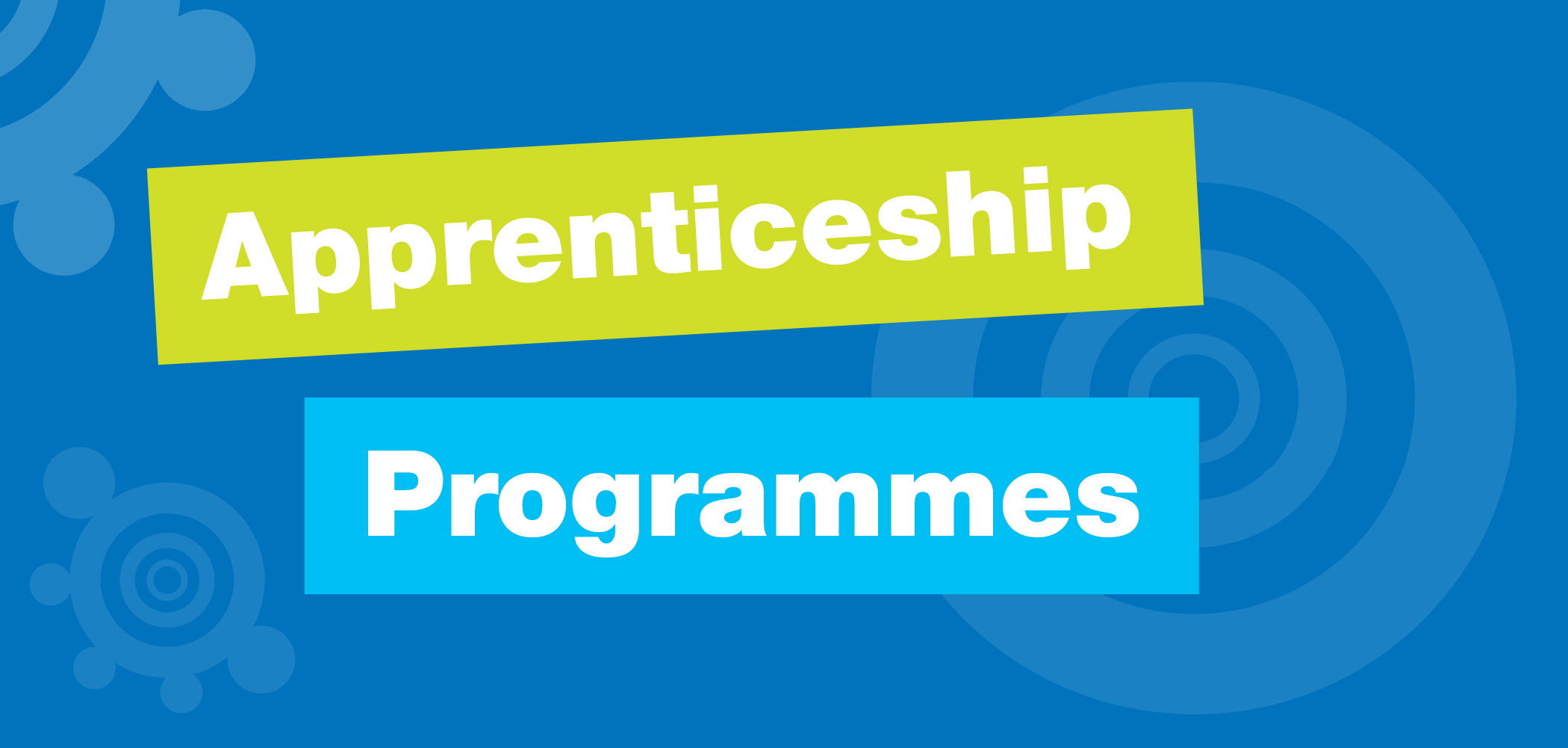 Our Apprenticeship Programmes