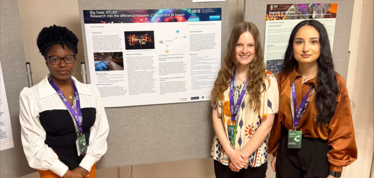 IRIS Conference 2025