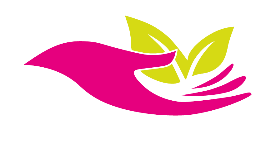 The Wellbeing Hub